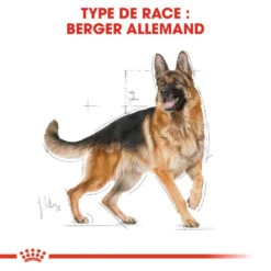 ROYAL CANIN German Shepherd Adult 11kg -Animaux Fournitures Magasin fre pl ROYAL CANIN German Shepherd Adult 11kg 9899 2