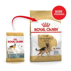 ROYAL CANIN German Shepherd Adult 11kg + Surprise Pour Votre Chien GRATUITES ! -Animaux Fournitures Magasin fre pl ROYAL CANIN German Shepherd Adult 11kg surprise pour votre chien GRATUITES 17883 3
