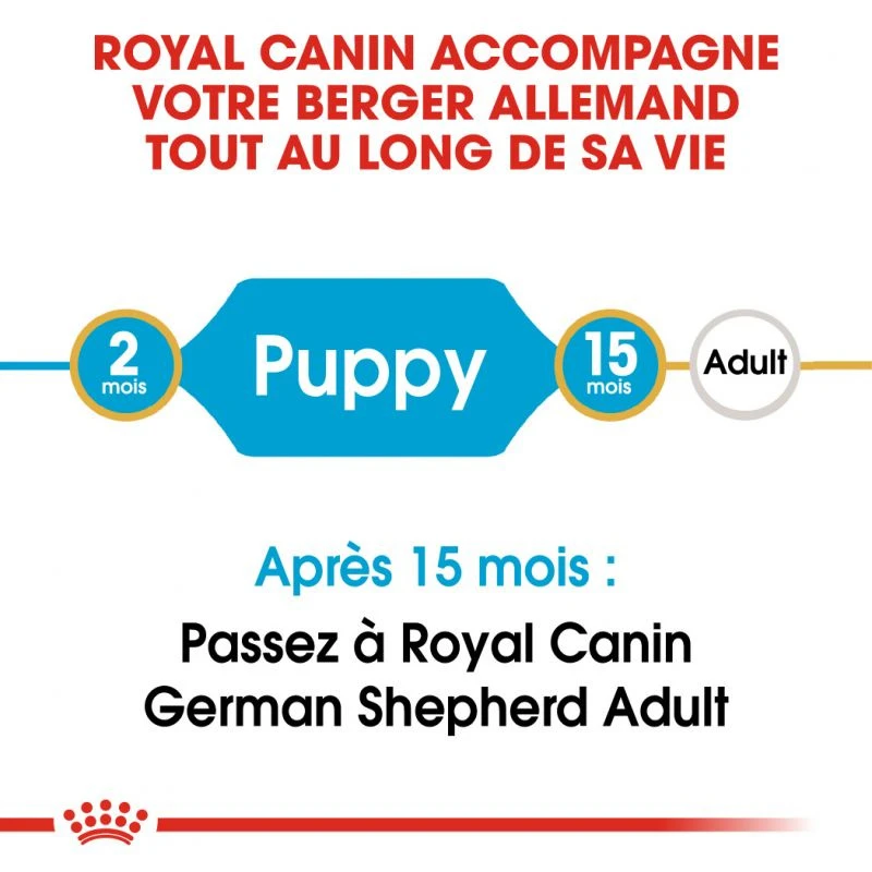 ROYAL CANIN German Shepherd Puppy 3kg 6 ROYAL CANIN German Shepherd Puppy 3kg – Image 4