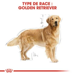 ROYAL CANIN Golden Retriever Adult 12kg -Animaux Fournitures Magasin fre pl ROYAL CANIN Golden Retriever Adult 12kg 16018 3