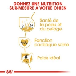 ROYAL CANIN Golden Retriever Adult 12kg -Animaux Fournitures Magasin fre pl ROYAL CANIN Golden Retriever Adult 12kg 16018 5