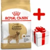 ROYAL CANIN Golden Retriever Adult 12kg + Surprise Pour Votre Chien GRATUITES ! 2 ROYAL CANIN Golden Retriever Adult 12kg + Surprise Pour Votre Chien GRATUITES ! -Animaux Fournitures Magasin fre pl ROYAL CANIN Golden Retriever Adult 12kg surprise pour votre chien GRATUITES 17874 1