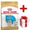 ROYAL CANIN Golden Retriever Puppy 12kg + Surprise Pour Votre Chien GRATUITES ! -Animaux Fournitures Magasin fre pl ROYAL CANIN Golden Retriever Puppy 12kg surprise pour votre chien GRATUITES 17884 1