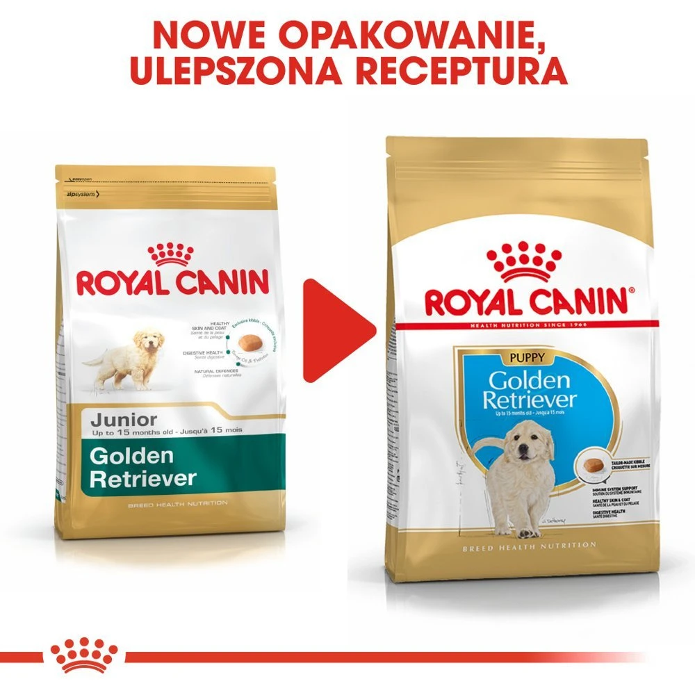 ROYAL CANIN Golden Retriever Puppy 12kg + Surprise Pour Votre Chien GRATUITES ! 5 ROYAL CANIN Golden Retriever Puppy 12kg + Surprise Pour Votre Chien GRATUITES ! – Image 3