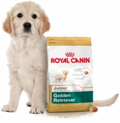 ROYAL CANIN Golden Retriever Puppy 12kg + Surprise Pour Votre Chien GRATUITES ! 11 ROYAL CANIN Golden Retriever Puppy 12kg + Surprise Pour Votre Chien GRATUITES ! -Animaux Fournitures Magasin fre pl ROYAL CANIN Golden Retriever Puppy 12kg surprise pour votre chien GRATUITES 17884 4