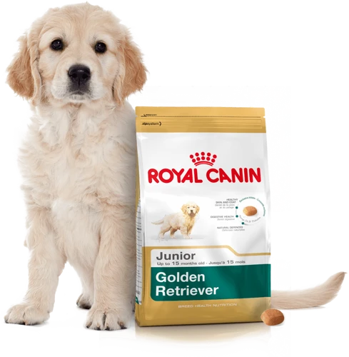 ROYAL CANIN Golden Retriever Puppy 12kg + Surprise Pour Votre Chien GRATUITES ! 6 ROYAL CANIN Golden Retriever Puppy 12kg + Surprise Pour Votre Chien GRATUITES ! – Image 4