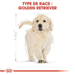 ROYAL CANIN Golden Retriever Puppy 3kg 12 ROYAL CANIN Golden Retriever Puppy 3kg -Animaux Fournitures Magasin fre pl ROYAL CANIN Golden Retriever Puppy 3kg 16020 6