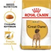 ROYAL CANIN Great Dane Adult 12kg -Animaux Fournitures Magasin fre pl ROYAL CANIN Great Dane Adult 12kg 9213 1