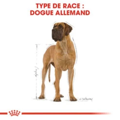 ROYAL CANIN Great Dane Adult 12kg -Animaux Fournitures Magasin fre pl ROYAL CANIN Great Dane Adult 12kg 9213 3