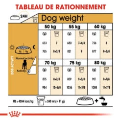ROYAL CANIN Great Dane Adult 12kg -Animaux Fournitures Magasin fre pl ROYAL CANIN Great Dane Adult 12kg 9213 6