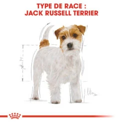 ROYAL CANIN Jack Russell Terrier Adult 1,5kg -Animaux Fournitures Magasin fre pl ROYAL CANIN Jack Russell Terrier Adult 1 5kg 16916 6
