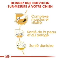 ROYAL CANIN Jack Russell Terrier Adult 7,5kg -Animaux Fournitures Magasin fre pl ROYAL CANIN Jack Russell Terrier Adult 7 5kg 15345 4