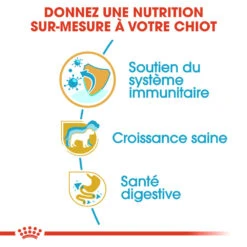 ROYAL CANIN Jack Russell Terrier Puppy 500g X2 -Animaux Fournitures Magasin fre pl ROYAL CANIN Jack Russell Terrier Puppy 500g x2 30744 2