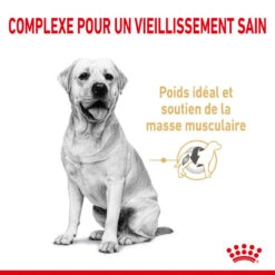 ROYAL CANIN Labrador Retriever Adult5+ 12kg -Animaux Fournitures Magasin fre pl ROYAL CANIN Labrador Retriever Adult 5 12kg 12525 4