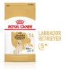 ROYAL CANIN Labrador Retriever Adult 5+ 3kg -Animaux Fournitures Magasin fre pl ROYAL CANIN Labrador Retriever Adult 5 3kg 12526 6