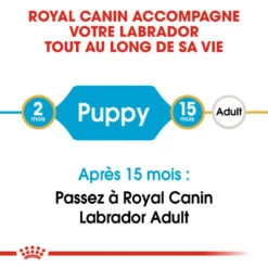 ROYAL CANIN Labrador Retriever Puppy 3kg 11 ROYAL CANIN Labrador Retriever Puppy 3kg -Animaux Fournitures Magasin fre pl ROYAL CANIN Labrador Retriever Puppy 3kg 16063 4