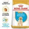 ROYAL CANIN Labrador Retriever Puppy 3kg X2 -Animaux Fournitures Magasin fre pl ROYAL CANIN Labrador Retriever Puppy 3kg x2 30767 1