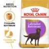 ROYAL CANIN Labrador Retriever Sterilised 12kg 2 ROYAL CANIN Labrador Retriever Sterilised 12kg -Animaux Fournitures Magasin fre pl ROYAL CANIN Labrador Retriever Sterilised 12kg 9273 1