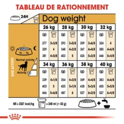 ROYAL CANIN Labrador Retriever Sterilised 12kg 12 ROYAL CANIN Labrador Retriever Sterilised 12kg -Animaux Fournitures Magasin fre pl ROYAL CANIN Labrador Retriever Sterilised 12kg 9273 5