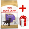 ROYAL CANIN Labrador Retriever Sterilised 12kg + Surprise Pour Votre Chien GRATUITES ! -Animaux Fournitures Magasin fre pl ROYAL CANIN Labrador Retriever Sterilised 12kg surprise pour votre chien GRATUITES 17875 1