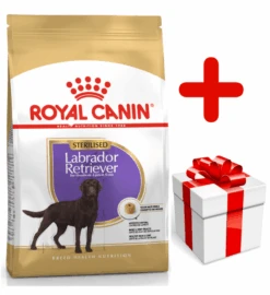 ROYAL CANIN Labrador Retriever Sterilised 12kg + Surprise Pour Votre Chien GRATUITES !