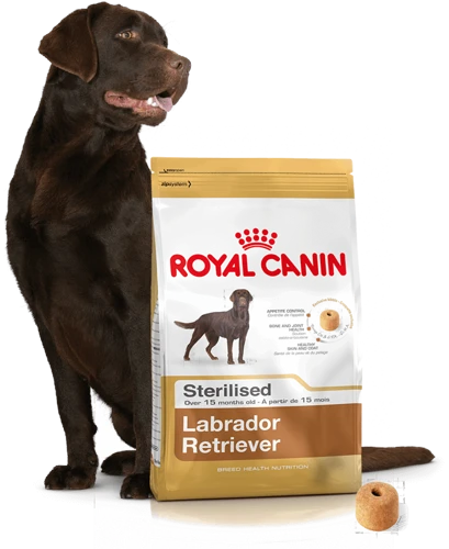 ROYAL CANIN Labrador Retriever Sterilised 12kg + Surprise Pour Votre Chien GRATUITES ! 6 ROYAL CANIN Labrador Retriever Sterilised 12kg + Surprise Pour Votre Chien GRATUITES ! – Image 4