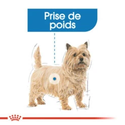 ROYAL CANIN Light Weight Care Pâté 12x85g -Animaux Fournitures Magasin fre pl ROYAL CANIN Light Weight Care Pate 12x85g 10096 4