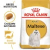 ROYAL CANIN Maltese Adult 500g X2 -Animaux Fournitures Magasin fre pl ROYAL CANIN Maltese Adult 500g x2 30746 1