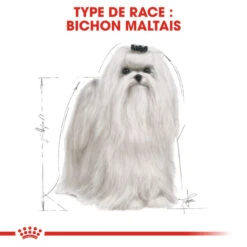 ROYAL CANIN Maltese Adult 500g X2 12 ROYAL CANIN Maltese Adult 500g X2 -Animaux Fournitures Magasin fre pl ROYAL CANIN Maltese Adult 500g x2 30746 6