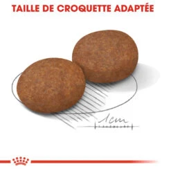 ROYAL CANIN Medium Adult 7+ 15kg -Animaux Fournitures Magasin fre pl ROYAL CANIN Medium Adult 7 15kg 16788 6