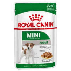 Nouvelles Arrivées -Animaux Fournitures Magasin fre pl ROYAL CANIN Mini Adult 12x85g 9817 2