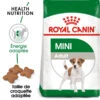 ROYAL CANIN Mini Adult 4kg -Animaux Fournitures Magasin fre pl ROYAL CANIN Mini Adult 4kg 16085 1
