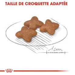 ROYAL CANIN Mini Adult 4kg 10 ROYAL CANIN Mini Adult 4kg -Animaux Fournitures Magasin fre pl ROYAL CANIN Mini Adult 4kg 16085 4