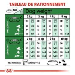 ROYAL CANIN Mini Adult 8+ 800g 13 ROYAL CANIN Mini Adult 8+ 800g -Animaux Fournitures Magasin fre pl ROYAL CANIN Mini Adult 8 800g 15728 4