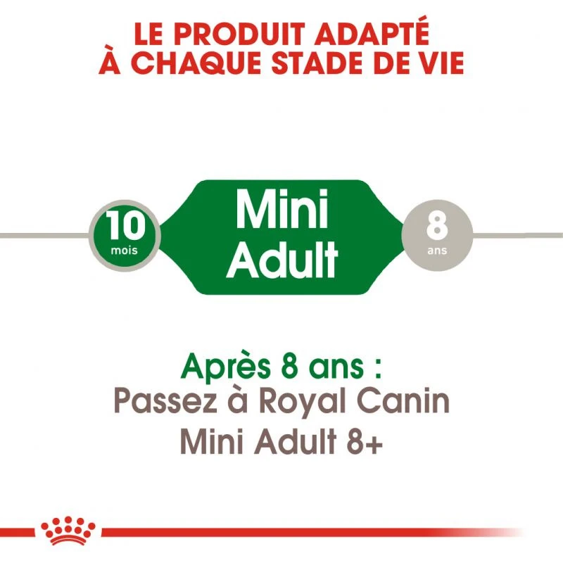 ROYAL CANIN Mini Adult 8kg + Surprise Gratuite Pour Votre Chien 4 ROYAL CANIN Mini Adult 8kg + Surprise Gratuite Pour Votre Chien – Image 2