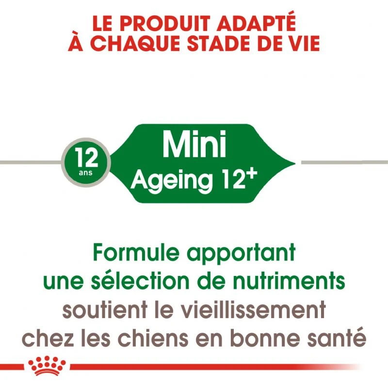 ROYAL CANIN Mini Ageing 12+ 1,5kg 4 ROYAL CANIN Mini Ageing 12+ 1,5kg – Image 2