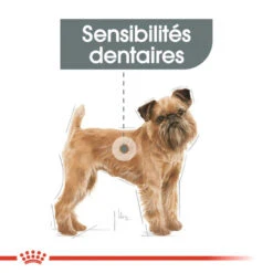 ROYAL CANIN Mini Dental Care 1kg -Animaux Fournitures Magasin fre pl ROYAL CANIN Mini Dental Care 1kg 10080 7