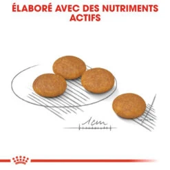 ROYAL CANIN Mini Dermacomfort 8kg 10 ROYAL CANIN Mini Dermacomfort 8kg -Animaux Fournitures Magasin fre pl ROYAL CANIN Mini Dermacomfort 8kg 10081 3