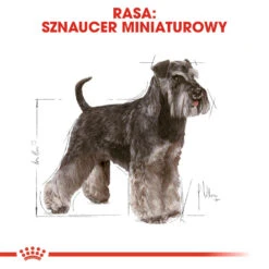 ROYAL CANIN Miniature Schnauzer Adult 7,5kg + Surprise Pour Votre Chien GRATUITES ! -Animaux Fournitures Magasin fre pl ROYAL CANIN Miniature Schnauzer Adult 7 5kg surprise pour votre chien GRATUITES 17877 5