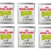 ROYAL CANIN Nutritional Supplement Educ 10x50g 1 ROYAL CANIN Nutritional Supplement Educ 10x50g -Animaux Fournitures Magasin fre pl ROYAL CANIN Nutritional Supplement Educ 10x50g 29779 4