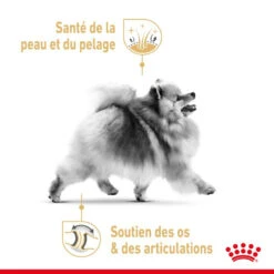 ROYAL CANIN Pomeranian Adult 1,5kg 10 ROYAL CANIN Pomeranian Adult 1,5kg -Animaux Fournitures Magasin fre pl ROYAL CANIN Pomeranian Adult 1 5kg 13393 3