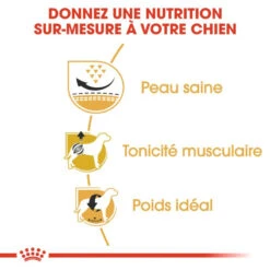 ROYAL CANIN Pug Adult 1,5kg -Animaux Fournitures Magasin fre pl ROYAL CANIN Pug Adult 1 5kg 16110 4