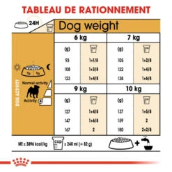 ROYAL CANIN Pug Adult 1,5kg -Animaux Fournitures Magasin fre pl ROYAL CANIN Pug Adult 1 5kg 16110 5