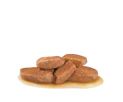 Nouvelles Arrivées -Animaux Fournitures Magasin fre pl ROYAL CANIN Renal 12x100g 12954 4