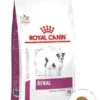 ROYAL CANIN Renal Small Dog 3,5kg 2 ROYAL CANIN Renal Small Dog 3,5kg -Animaux Fournitures Magasin fre pl ROYAL CANIN Renal Small Dog 3 5kg 12980 1