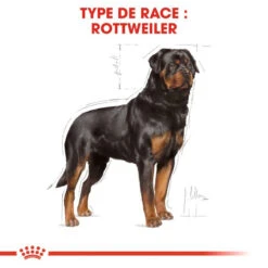ROYAL CANIN Rottweiler Adult 12kg -Animaux Fournitures Magasin fre pl ROYAL CANIN Rottweiler Adult 12kg 9456 3