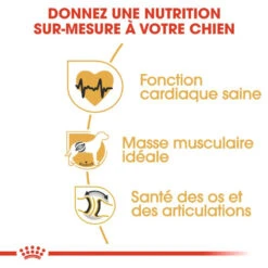 ROYAL CANIN Rottweiler Adult 12kg -Animaux Fournitures Magasin fre pl ROYAL CANIN Rottweiler Adult 12kg 9456 4