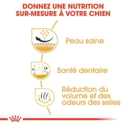 ROYAL CANIN Shih Tzu Adult 1,5kg -Animaux Fournitures Magasin fre pl ROYAL CANIN Shih Tzu Adult 1 5kg 9494 4