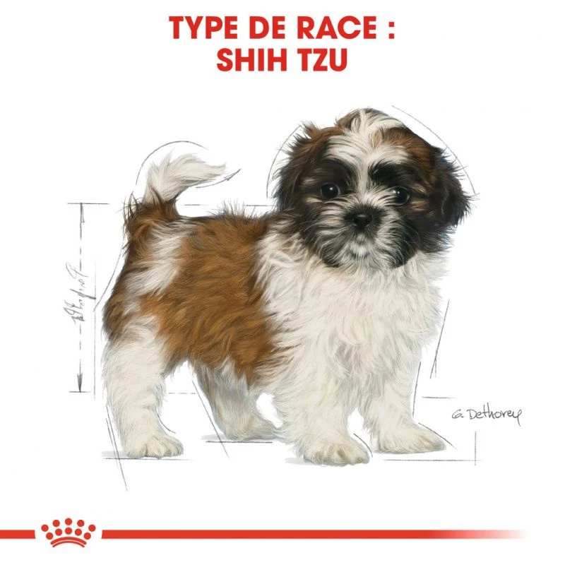ROYAL CANIN Shih Tzu Puppy 500g 4 ROYAL CANIN Shih Tzu Puppy 500g – Image 2