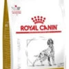 ROYAL CANIN Urinary S/O 13kg